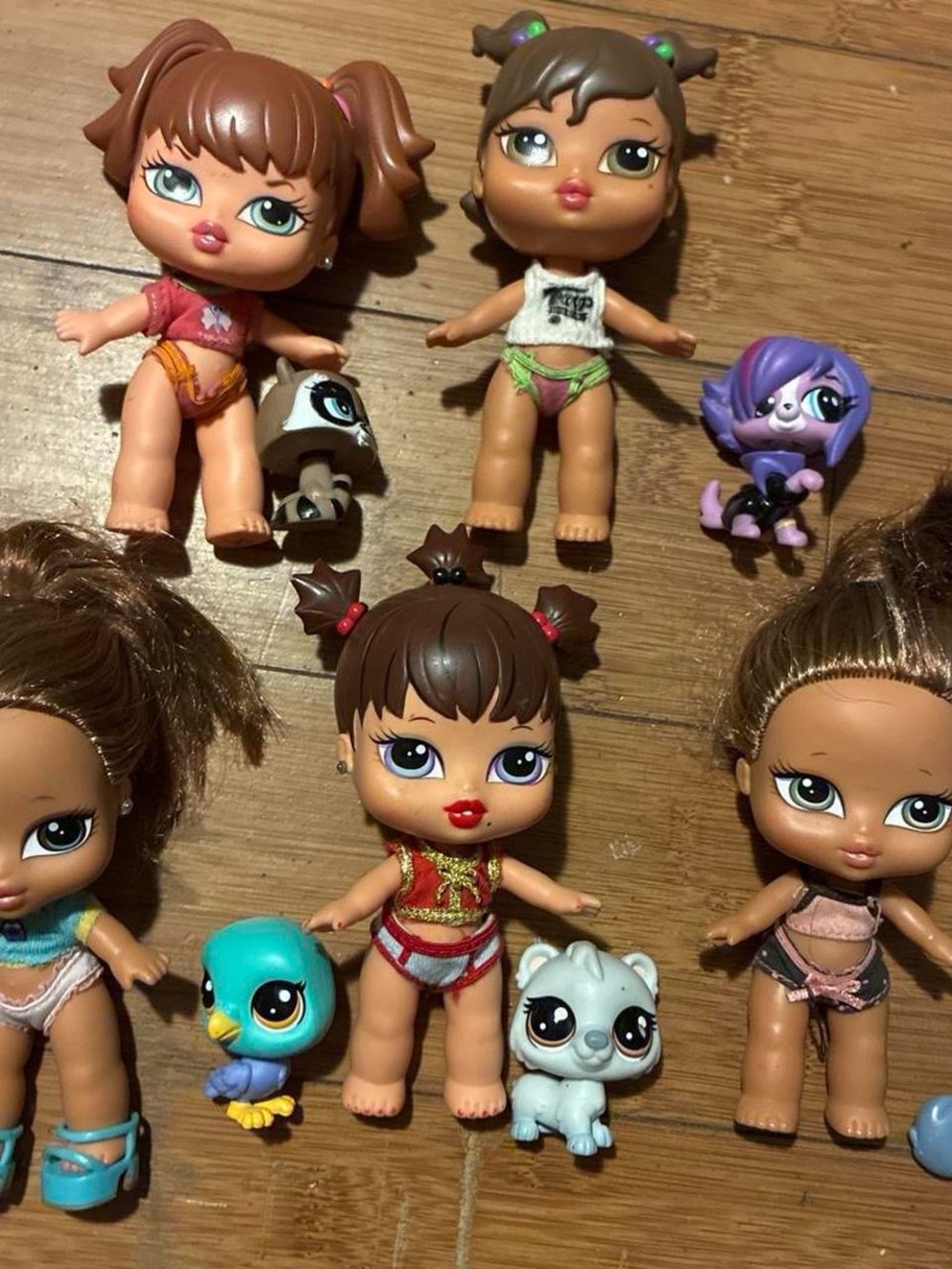 5 Bratz dolls and petz/LPS lot